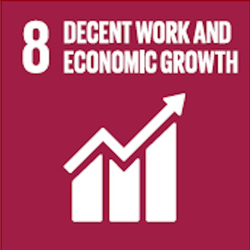 Sustainable development goals 8