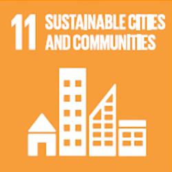 Sustainable development goals 11