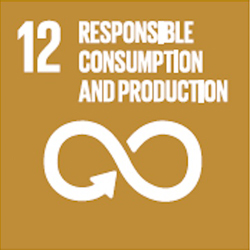Sustainable development goals 12